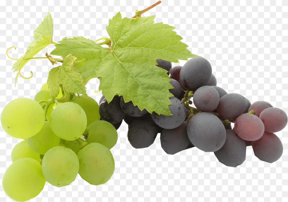 Black Grapes Transparent Background Background Transparent Grapes, Food, Fruit, Plant, Produce Free Png Download