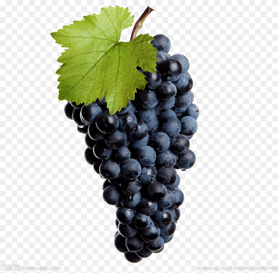 Black Grapes Transparent Image Crusher Machine For Vine, Food, Fruit, Plant, Produce Free Png