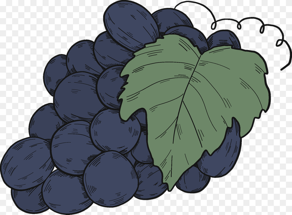 Black Grapes With Leaves Clipart, Produce, Plant, Fruit, Food Png