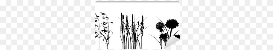 Black Grass Silhouettes Isolated On White Wall Mural Illustration, Plant, Reed, Silhouette Free Png