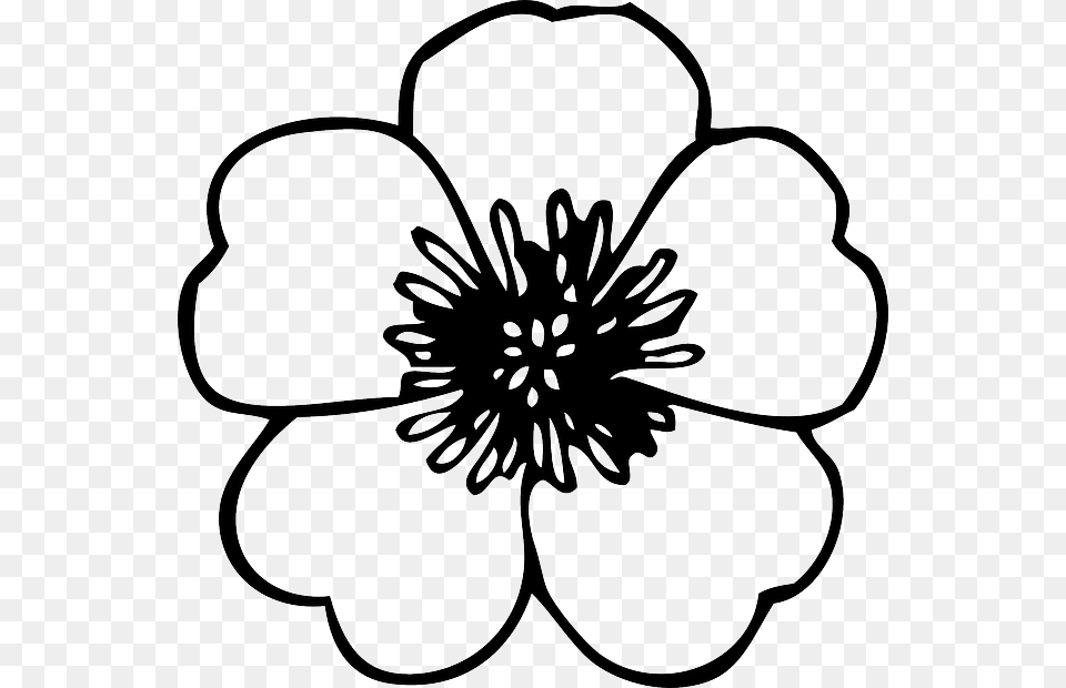 Black Green Large Simple Line Drawing Of Flower, Anemone, Anther, Dahlia, Plant Free Transparent Png