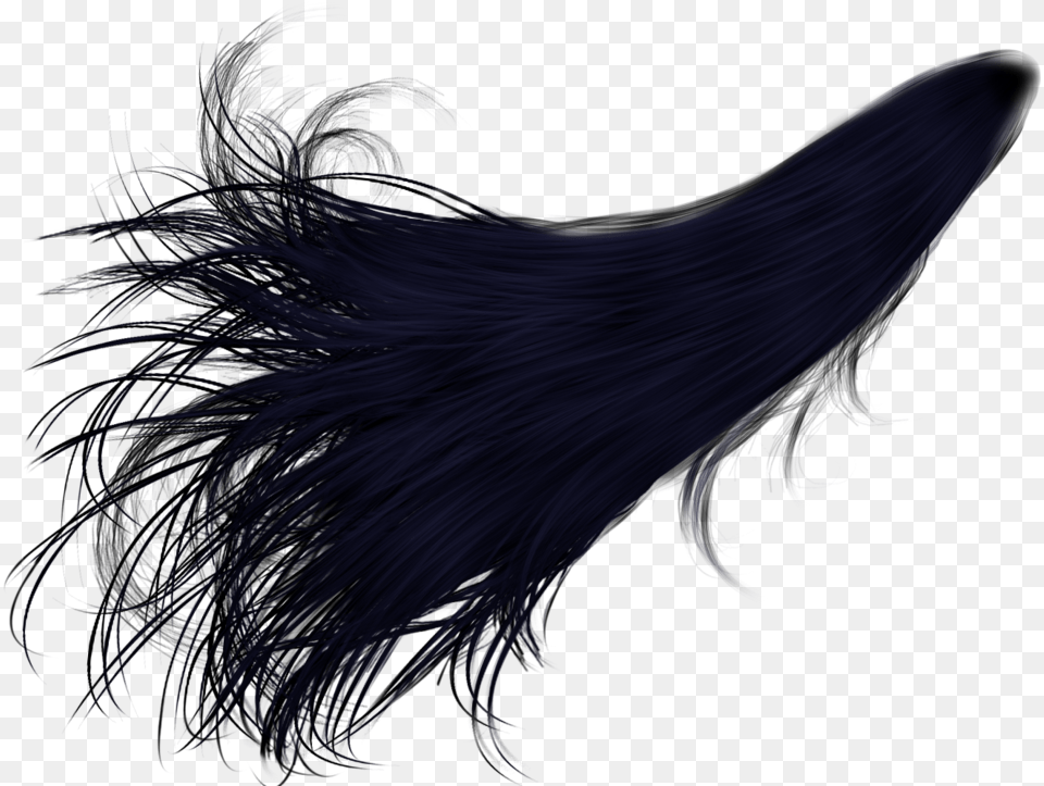 Black Hair High Quality Image Long Black Hair, Accessories, Pattern, Person Free Transparent Png