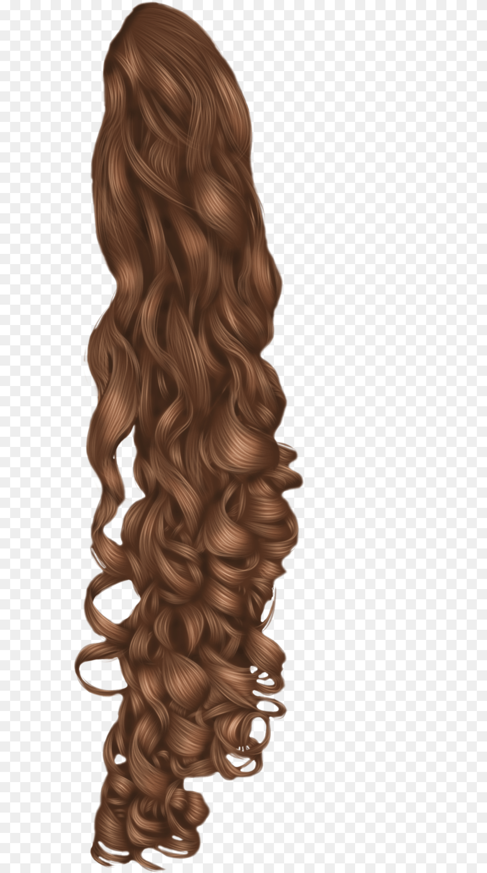 Black Hair Wig Hairstyle Long Curly Hair, Adult, Female, Person, Woman Free Png