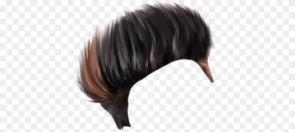 Black Hair World Brush Long Hair Guy Fieri Hair, Adult, Female, Person, Woman Free Transparent Png