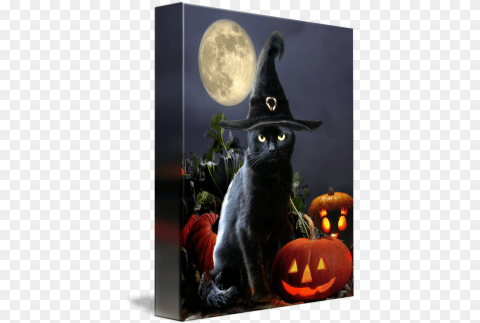 Black Halloween Cat With Witch Hat By Gina Femrite Happy Halloween Black Cat, Festival, Animal, Mammal, Pet Free Transparent Png