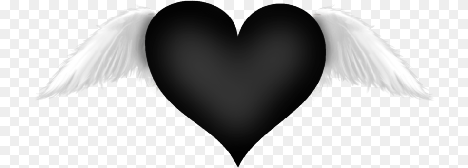 Black Heart Background Black Heart With Wings Hd, Animal, Bird, Flying, Angel Free Transparent Png