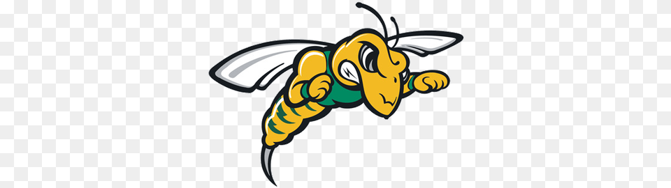 Black Hills State Yellow Jackets, Animal, Bee, Insect, Invertebrate Free Png Download
