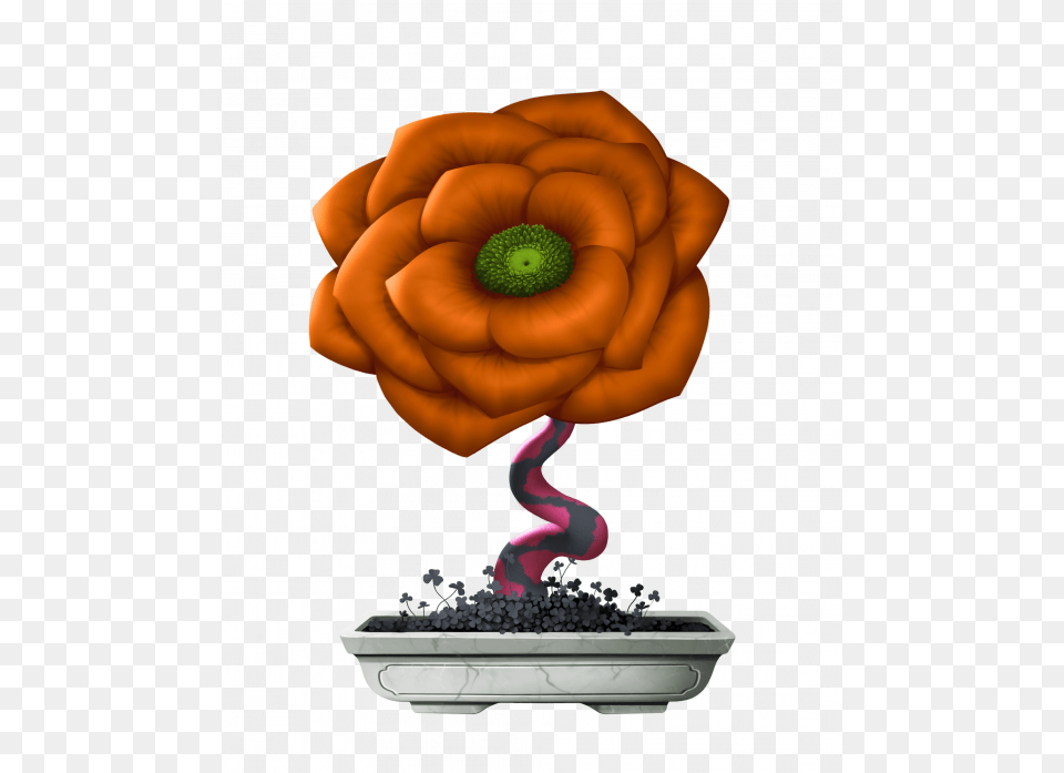 Black Hole Marbled Flower, Plant, Potted Plant, Tree, Bonsai Free Png