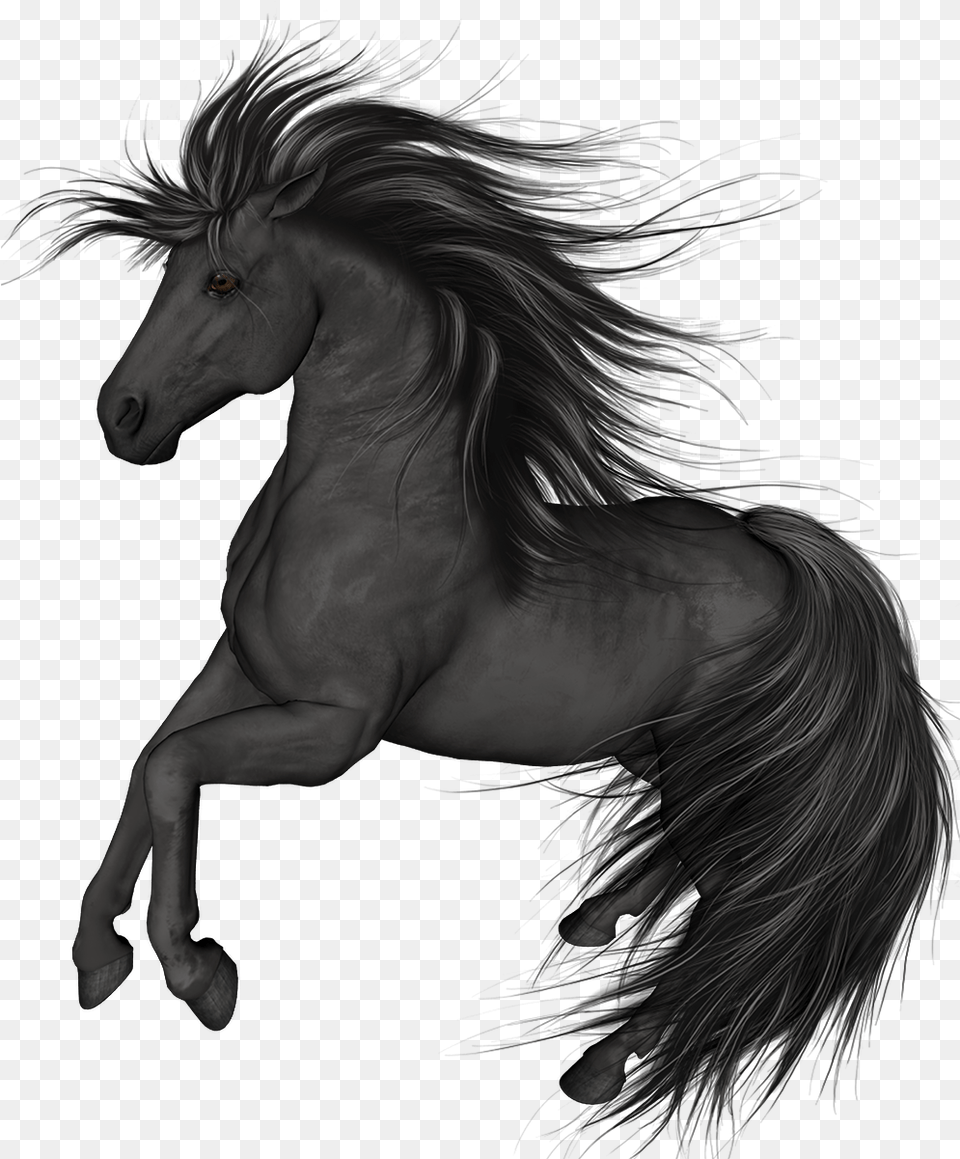 Black Horse Clip Art Black Horse, Animal, Mammal, Colt Horse, Stallion Free Png Download