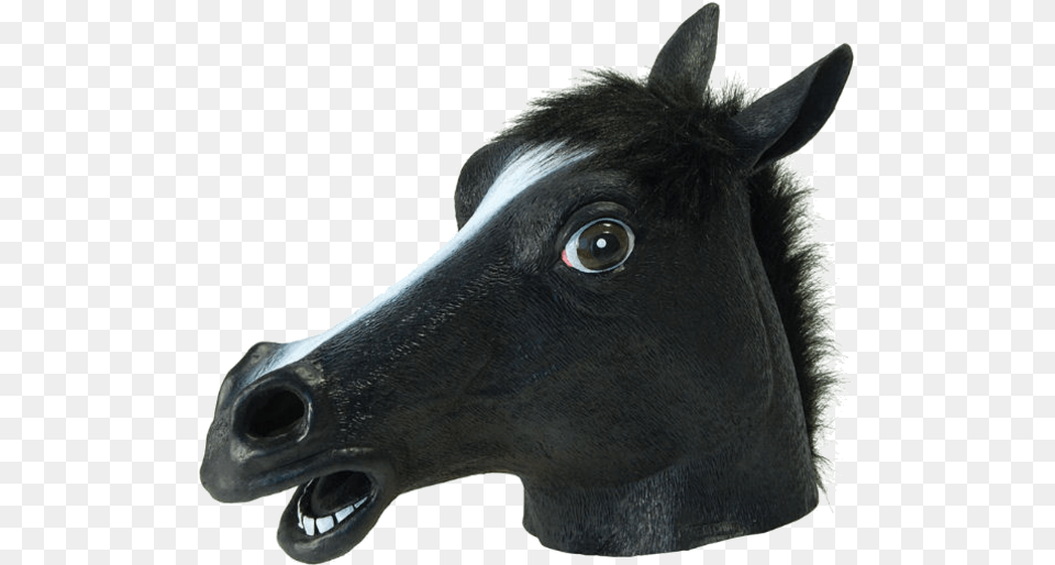 Black Horse Mask, Animal, Colt Horse, Mammal, Dinosaur Png