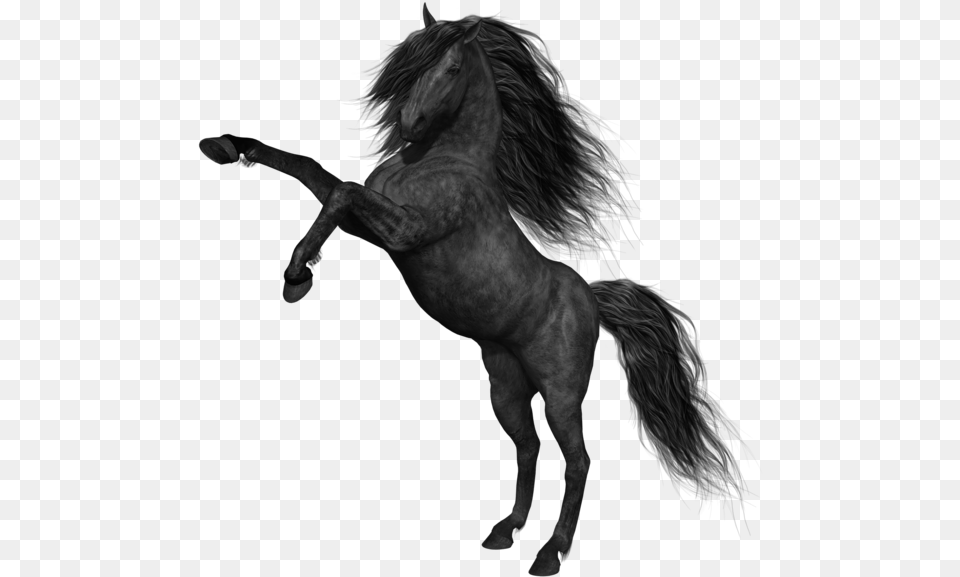 Black Horse Picture Mustang Horse, Animal, Mammal, Andalusian Horse Free Png Download