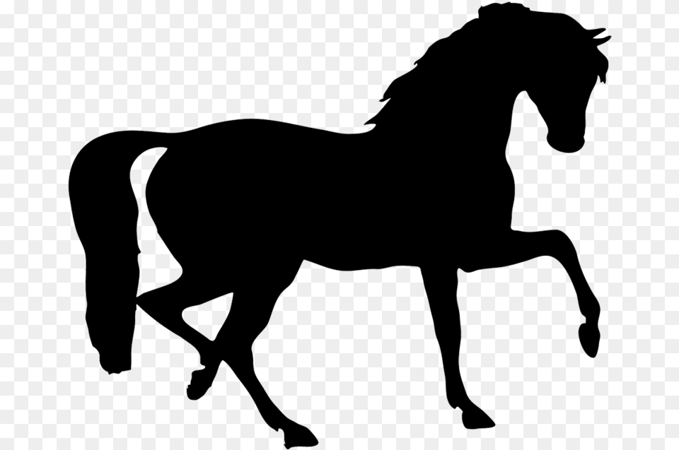 Black Horses Clipart Stock Black Transparent Clipart Horses, Animal, Mammal, Horse, Silhouette Free Png