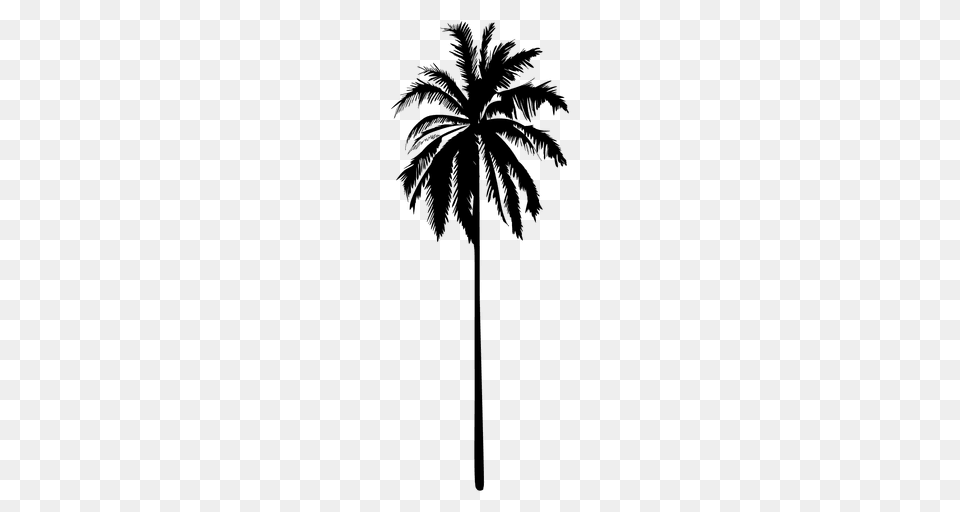 Black Isolated Palm Tree Silhouette, Palm Tree, Plant Free Png