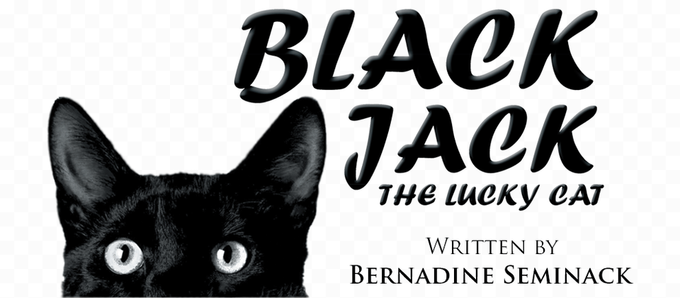 Black Jack The Lucky Cat, Animal, Black Cat, Mammal, Pet Free Png
