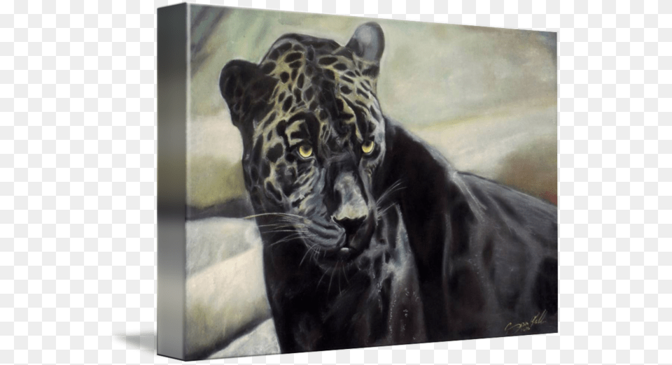 Black Jaguar Painting For Sale Black Panther, Animal, Mammal, Wildlife, Cat Free Png