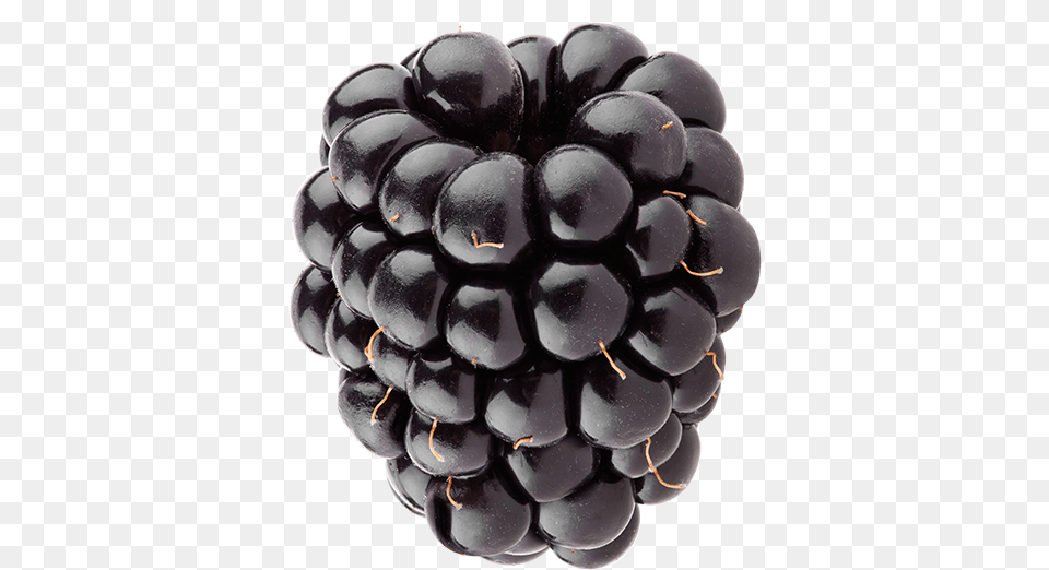 Black Jewel Grape, Berry, Produce, Food, Fruit Png Image