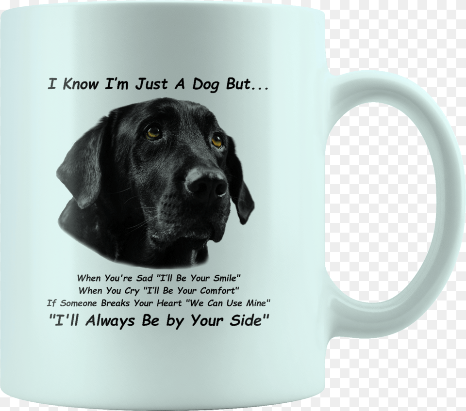 Black Lab, Animal, Canine, Cup, Dog Free Transparent Png