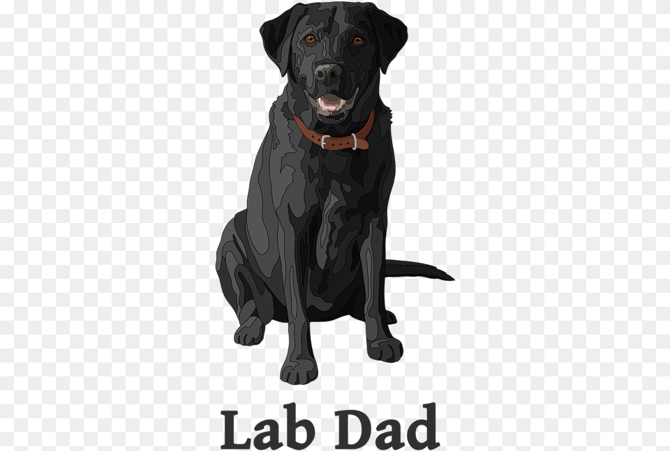 Black Lab, Animal, Canine, Mammal, Dog Png Image