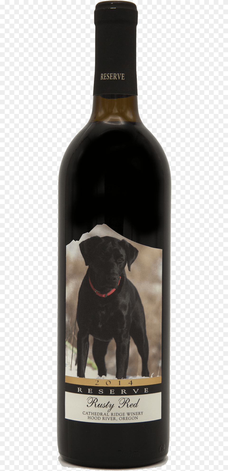 Black Lab, Pet, Mammal, Dog, Canine Png Image