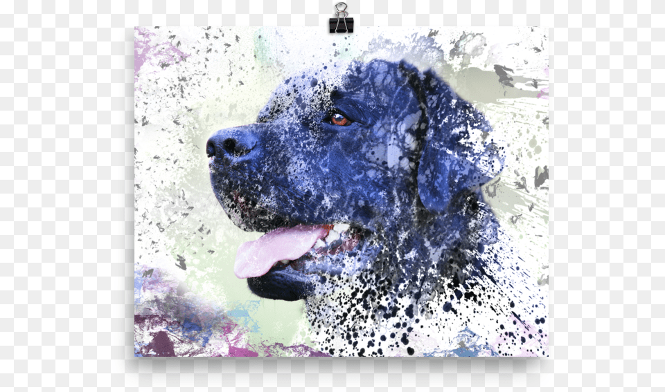 Black Lab Abstract Painting Labrador Retriever Dog Labrador Retriever, Animal, Canine, Labrador Retriever, Mammal Free Png