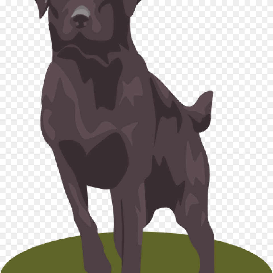 Black Lab Clip Art Question Mark Clipart House Clipart Online, Animal, Pig, Mammal, Hog Png