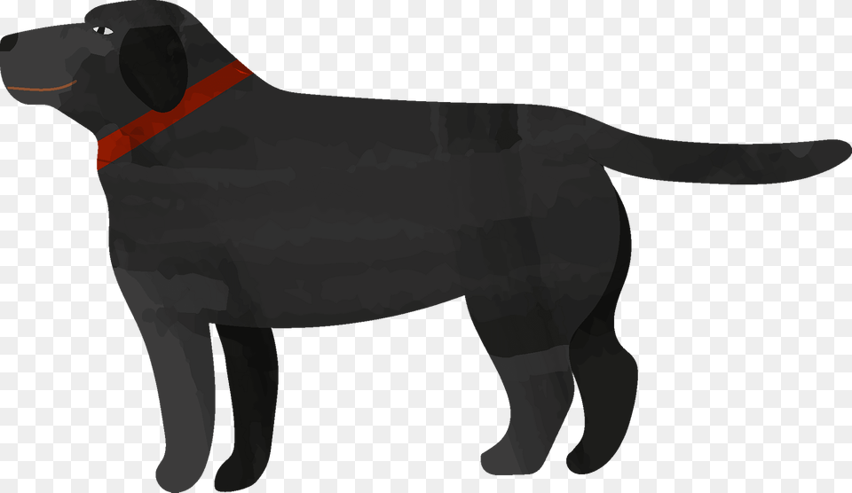Black Lab Clipart, Animal, Canine, Dog, Labrador Retriever Png