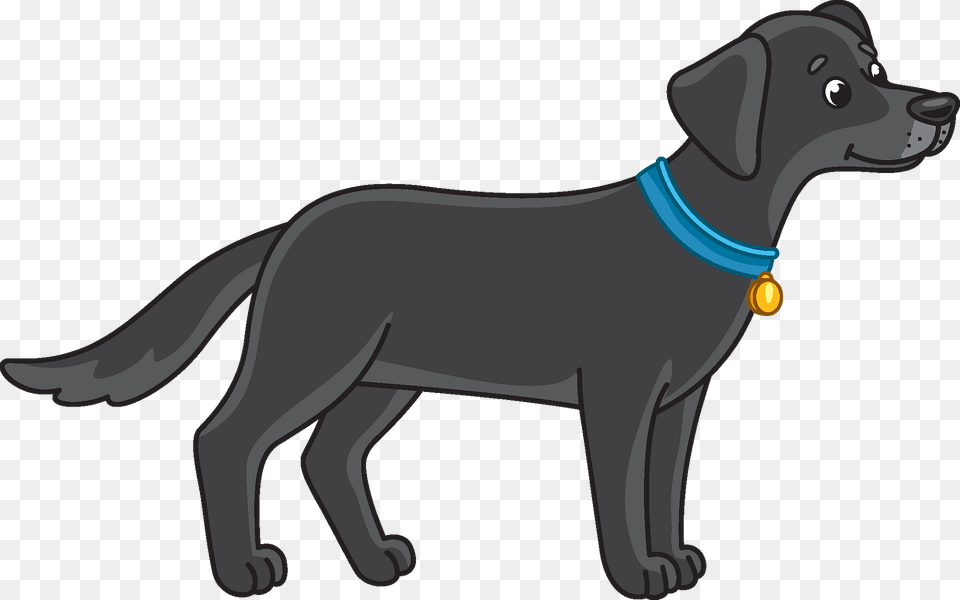Black Lab Clipart, Animal, Canine, Dog, Labrador Retriever Png