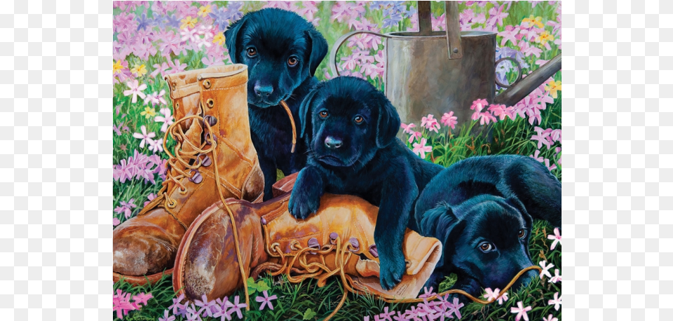 Black Lab Puppies Jigsaw Puzzles, Shoe, Clothing, Footwear, Pet Free Transparent Png