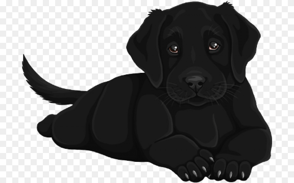 Black Lab Puppy Stickers, Animal, Pet, Mammal, Labrador Retriever Png