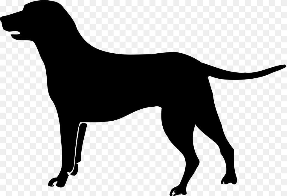 Black Lab Silhouette Clip Art At Getdrawings Dog Pictogram, Gray Free Transparent Png