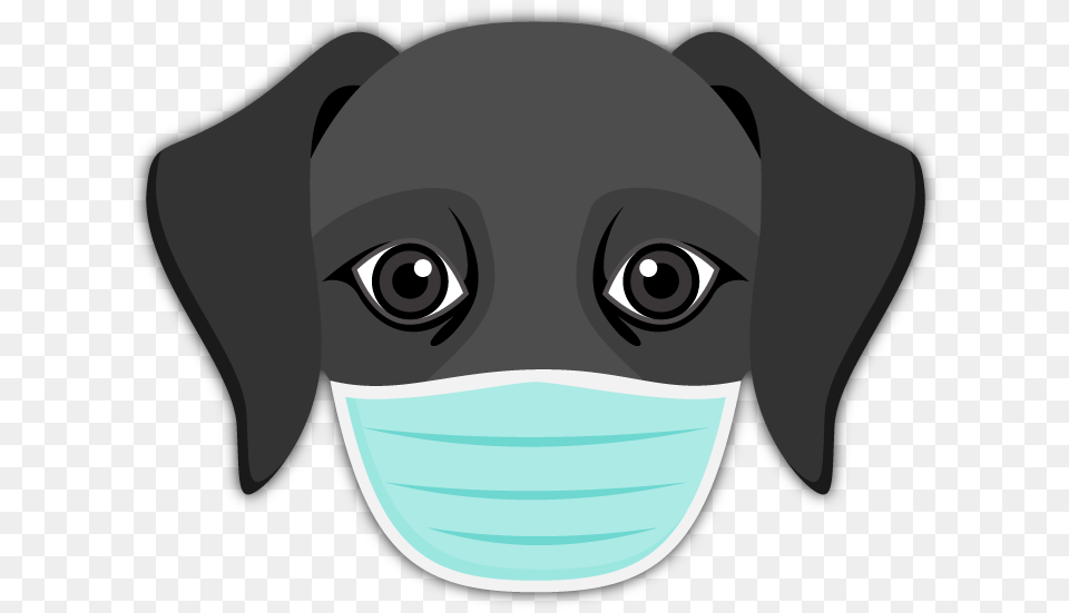Black Labrador Emoji Labrador Retriever, Snout, Photography, Baby, Person Png