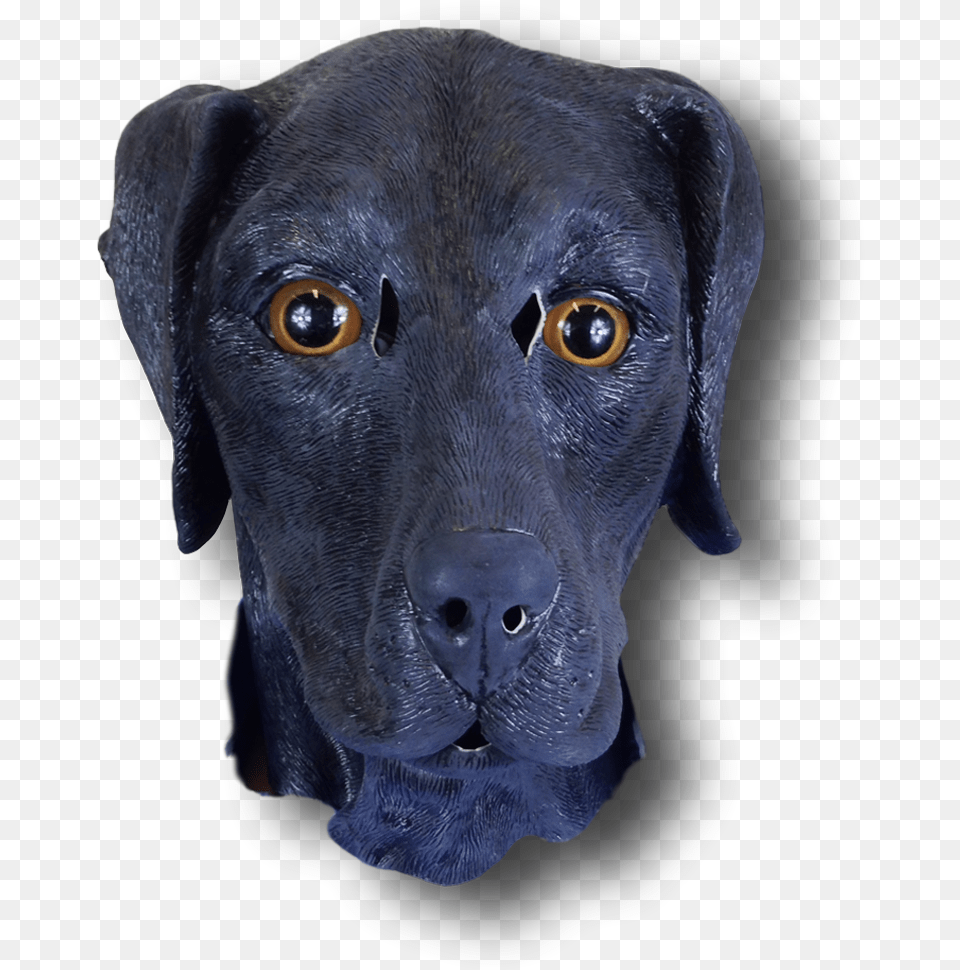 Black Labrador Mask Rj Labrador Retriever, Animal, Canine, Dog, Labrador Retriever Free Png Download