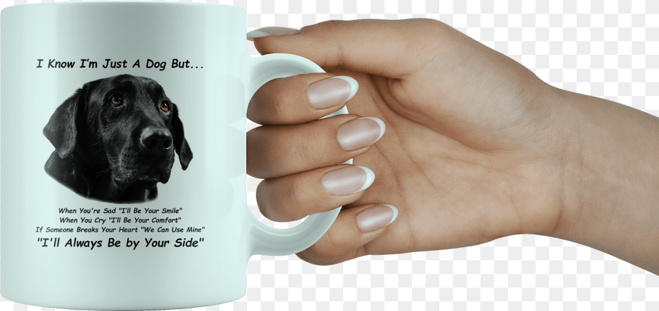 Black Labrador Retriever Black Lab White 11oz Mug Mug, Person, Body Part, Hand, Finger Free Png Download