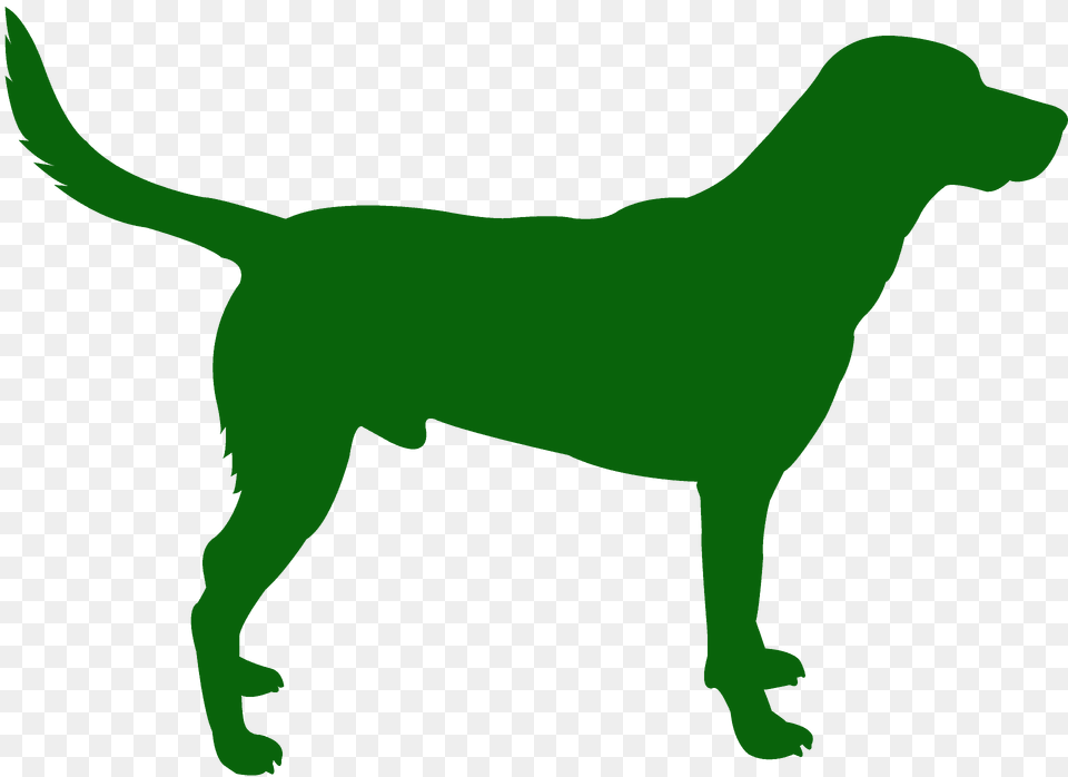 Black Labrador Silhouette, Animal, Canine, Dog, Labrador Retriever Free Png Download
