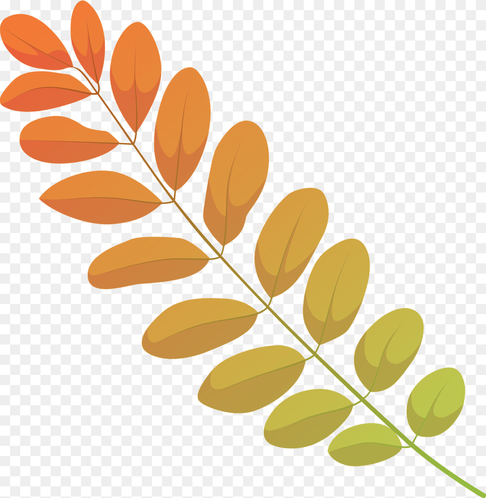Black Locust Autumn Leaf Clipart, Art, Floral Design, Graphics, Pattern Free Png Download