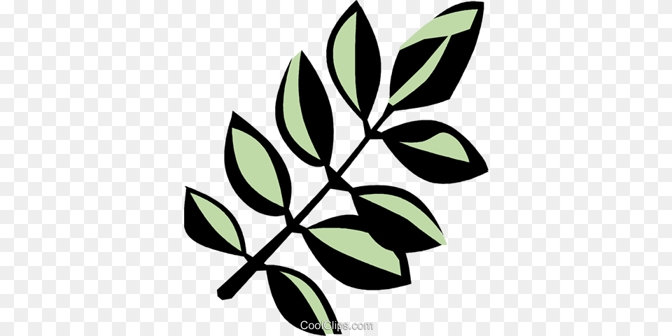 Black Locust Royalty Vector Clip Art Illustration, Herbs, Plant, Leaf, Herbal Png