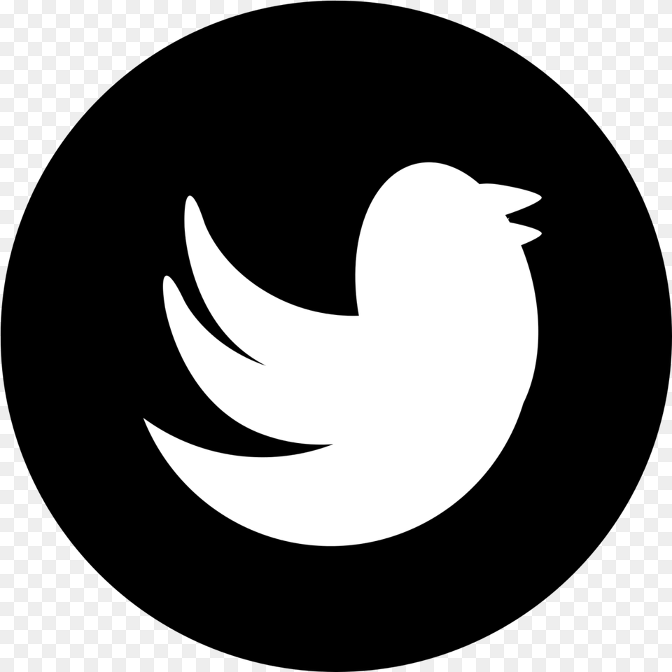 Black Logo Of Twitter, Stencil, Astronomy, Moon, Nature Free Png Download