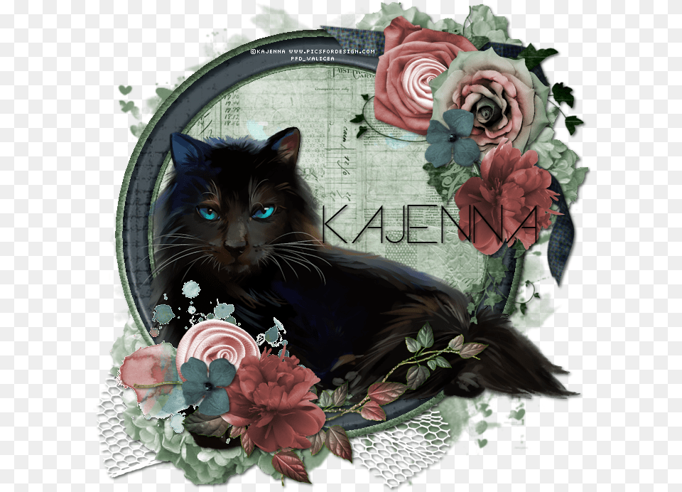 Black Mage Black Cat, Graphics, Art, Pattern, Floral Design Free Png Download