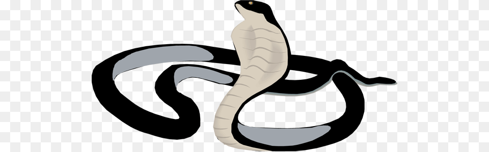 Black Mamba Clipart, Animal, Cobra, Reptile, Snake Free Transparent Png