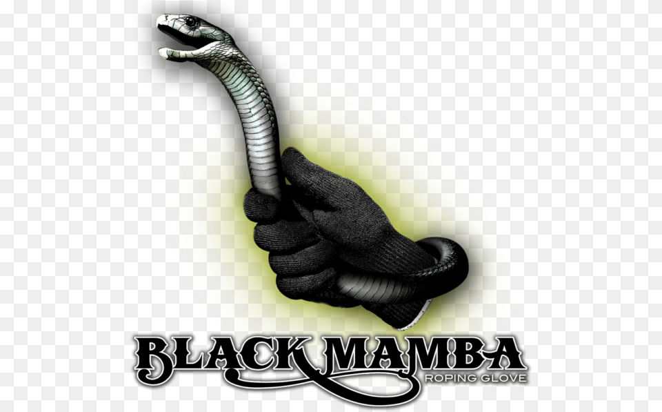 Black Mamba Image Snake, Clothing, Glove, Animal, Reptile Free Png