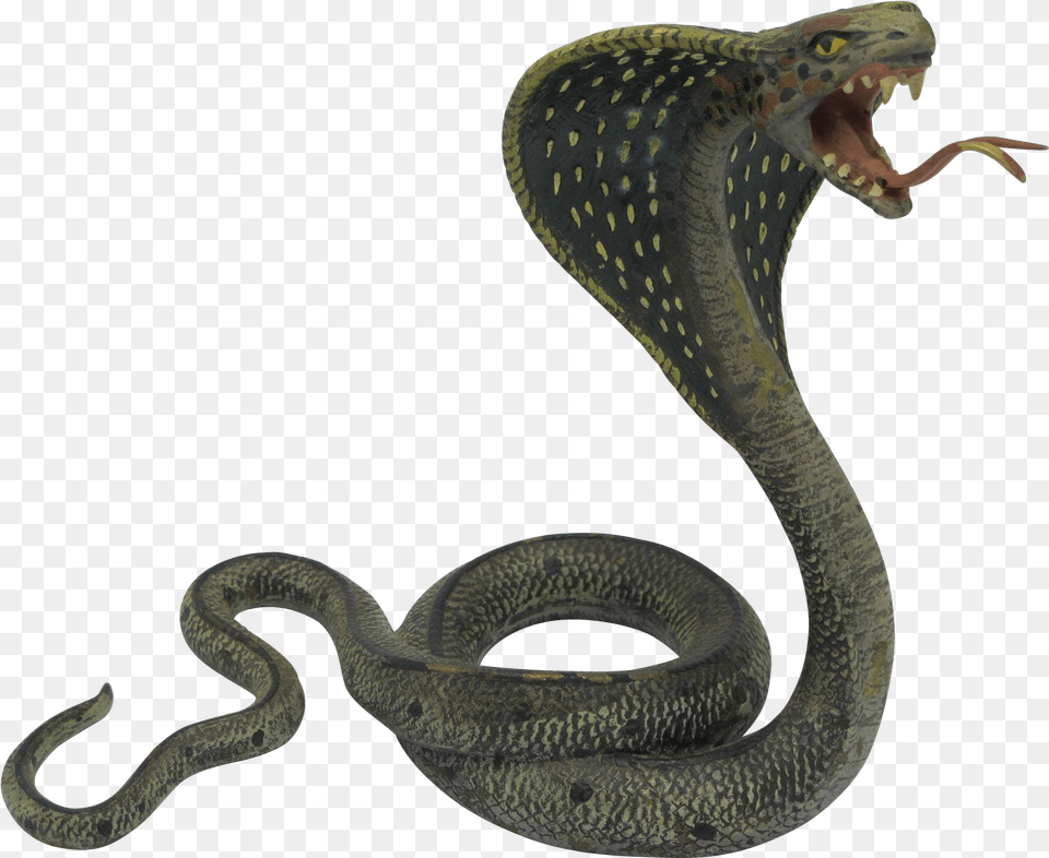 Black Mamba King Cobra Snakes, Animal, Reptile, Snake Free Png