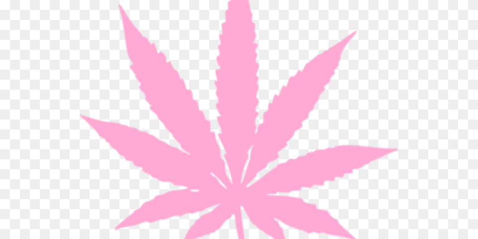 Black Marijuana Leaf, Plant, Weed, Animal, Fish Free Png