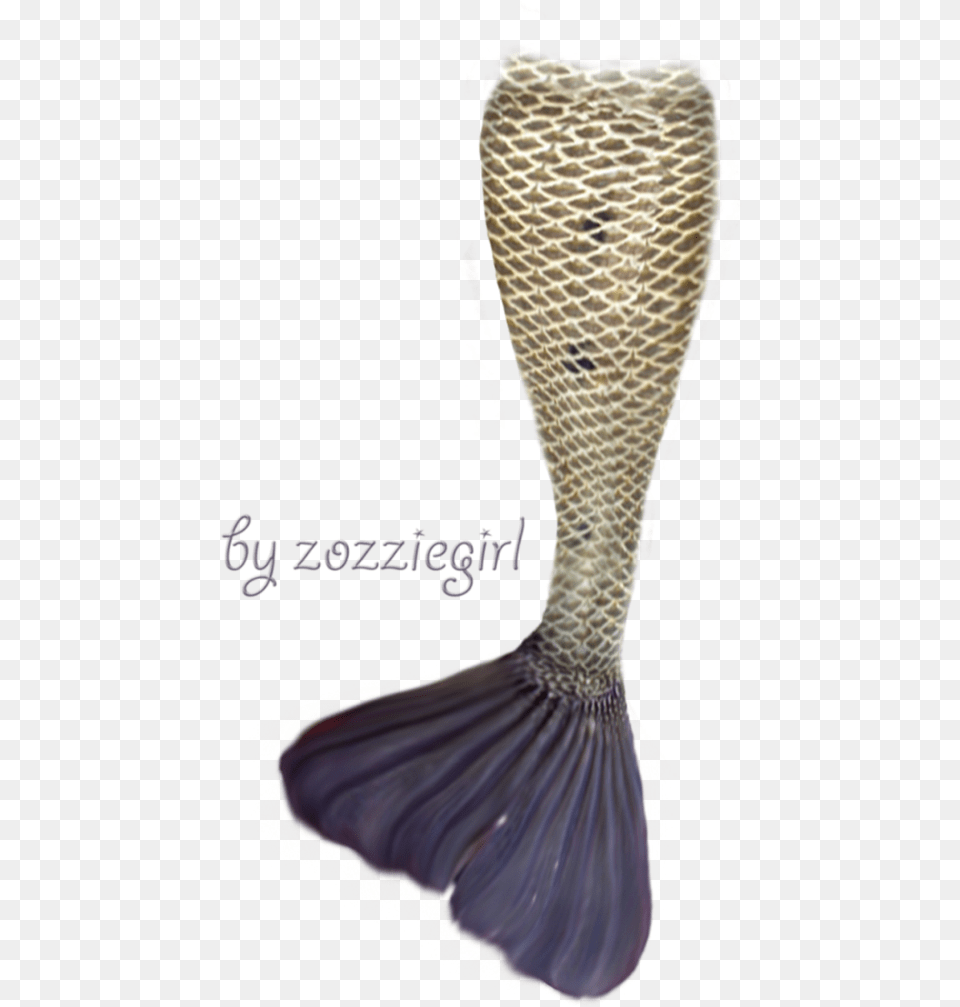 Black Mermaid Tail Transparent, Animal, Adult, Wedding, Snake Png Image