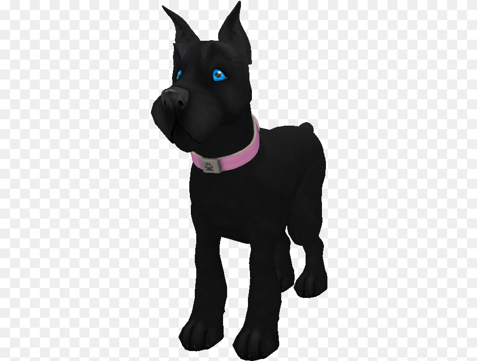 Black Miniature Schnauzer Dog, Animal, Pet, Cat, Mammal Free Transparent Png