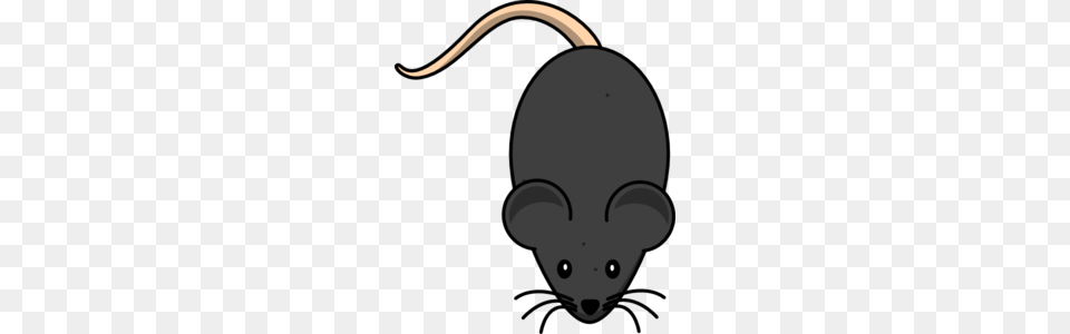 Black Mouse Clip Art, Animal, Mammal Png Image