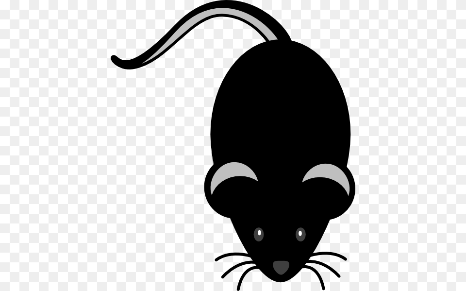 Black Mouse Clip Art For Web, Stencil, Animal, Mammal, Rat Free Png Download