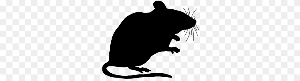 Black Mouse Clipart, Gray Free Transparent Png