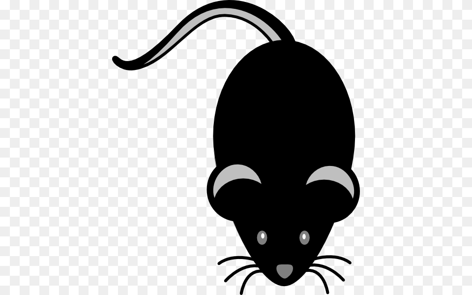 Black Mouse Light Grey Eyes Clip Art For Web, Stencil, Animal, Mammal, Rat Free Png Download