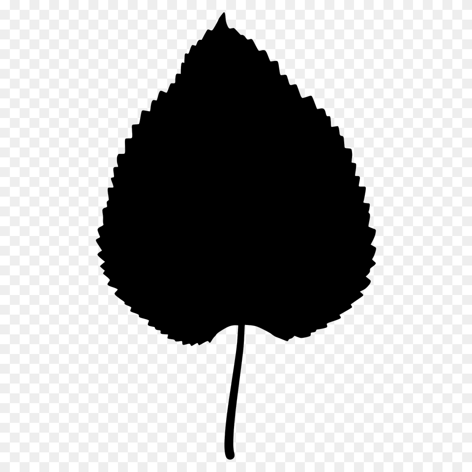 Black Mulberry Leaf Silhouette, Plant, Tree Free Png Download