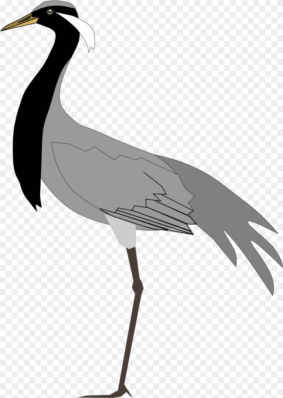 Black Necked Crane Vector, Animal, Bird, Crane Bird, Waterfowl Png Image